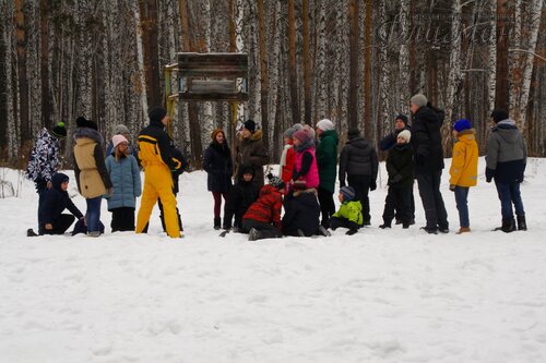 Прогулка с элементами ОФП
